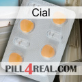 Cial 24